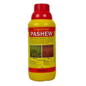 Pashew