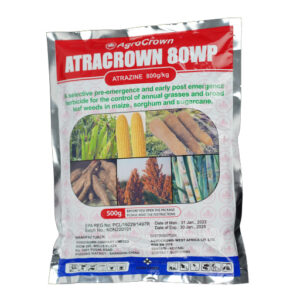 Atracrown